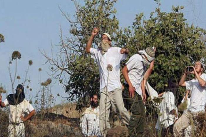 image-MQQ983LZAFC7Q144