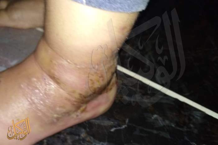 7293f0ad-be6f-4fcb-a086-00270ee65f02