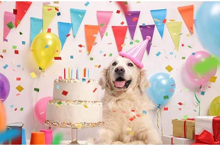 News-P-404289-636746853036443268