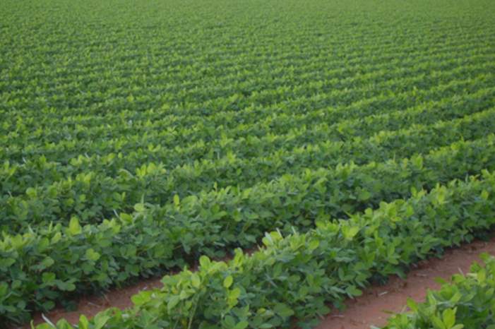 625a0fdce6d115252376e7e8290bdb80