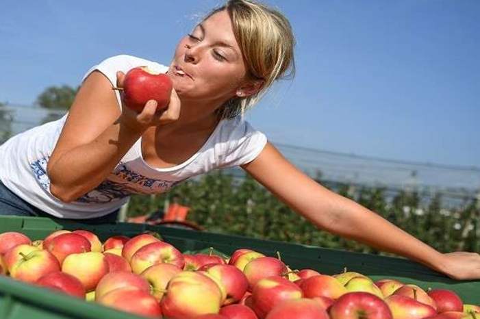 5bacc2c0d4375037608b4592