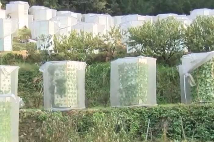 5bbdbd06d43750a01f8b45cf