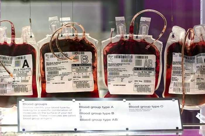 5bbc7fbe95a59761518b4570