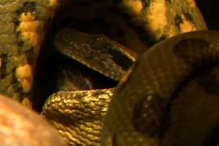 5bbdee06d43750e83b8b4627