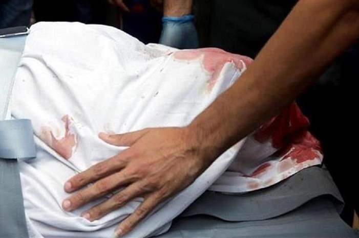 1020189165748338964657 (1)