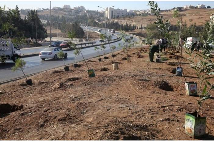 8917a1b39337c9e22ba757819ee53855