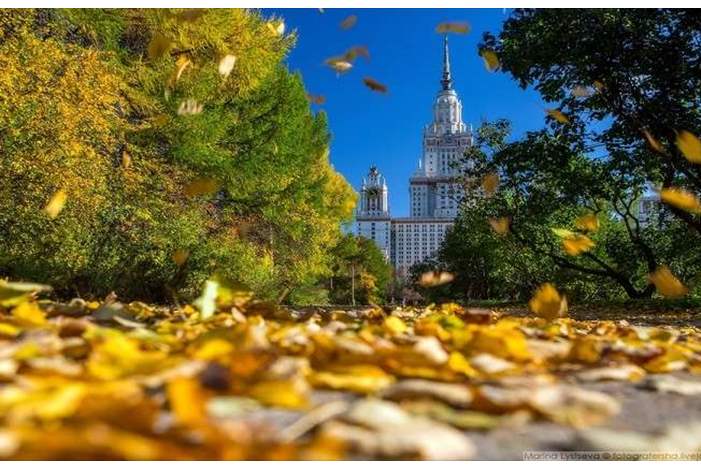 5bc05f9fd43750c7118b456c