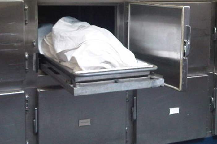 43f0de9addc32d3f30063ca3d5907381