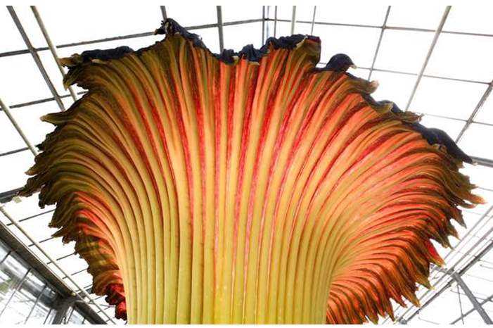 5bc4e602d437505f458b4632