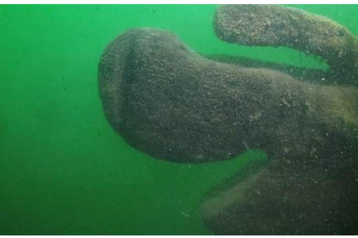 5bc6085b95a597a15c8b45b0