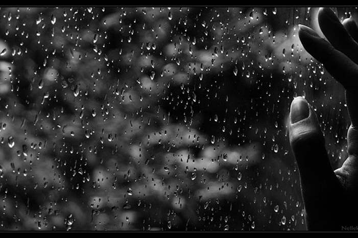 The_Rain_by_Nelleke