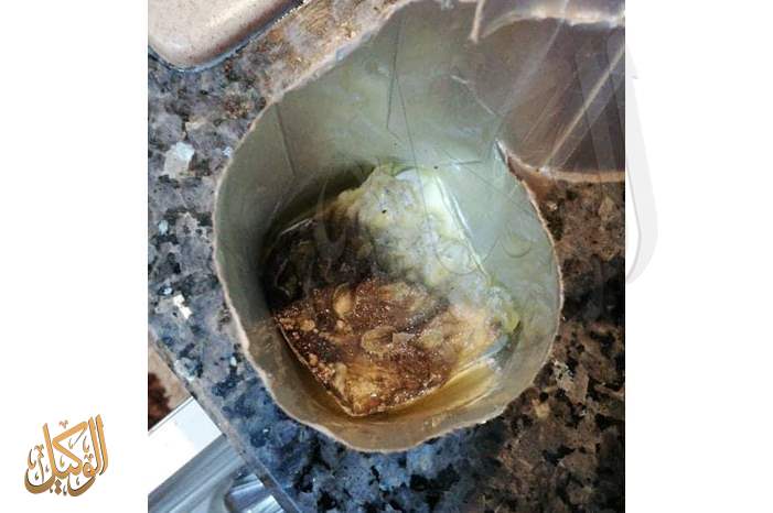 44332045_555105751594126_7594160688008790016_n