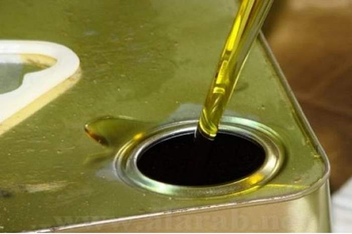 Oil-1-768x432