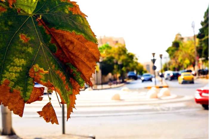 44326561_940998322760081_186520688679452672_n (1)