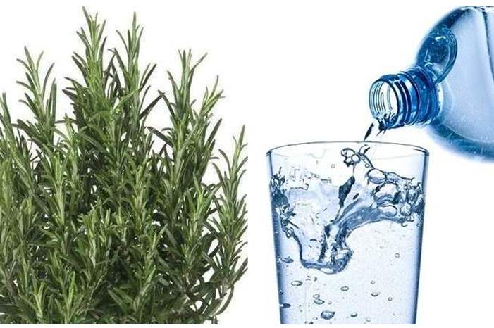 5bc858c895a597c45b8b4629