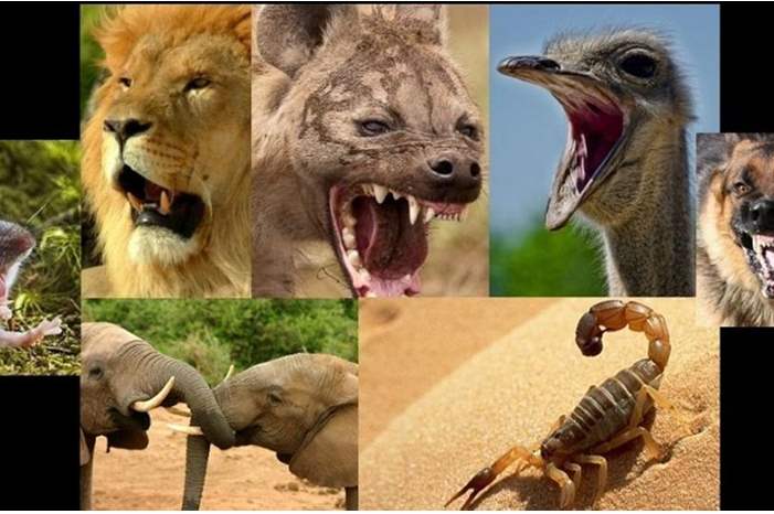 46b5f109-645c-49f1-9d01-cf3e0d4b7721_16x9_1200x676