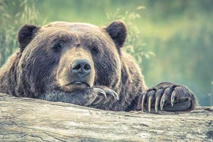 5bb1e29d95a597e6608b45de