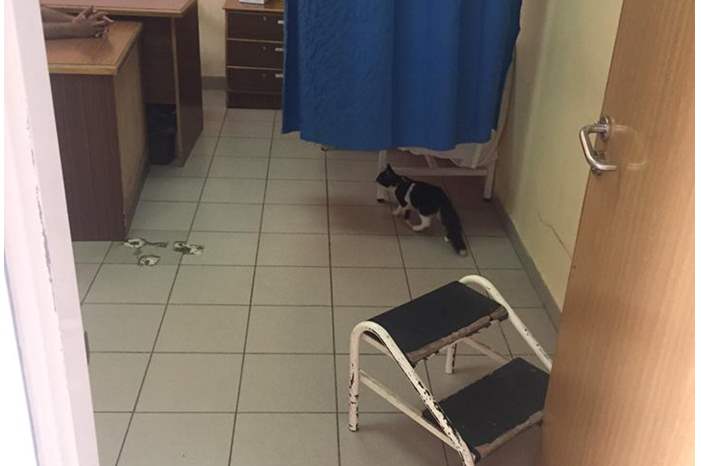 42878420_1940634622689192_1900031336328986624_n