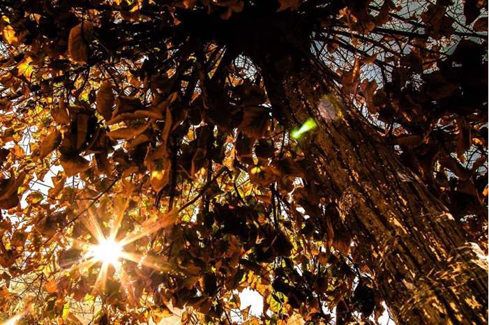 44278052_279077142740059_5528446444161204224_n