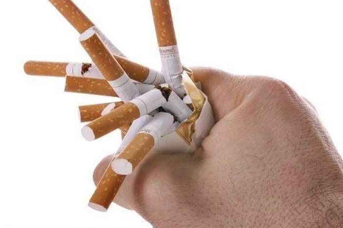 5bc99e2d95a597604e8b462c