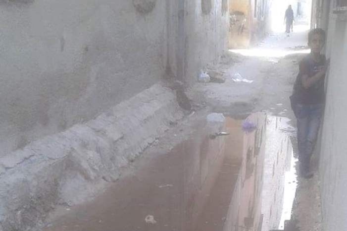 44607346_1967230673362920_3041362927522152448_n