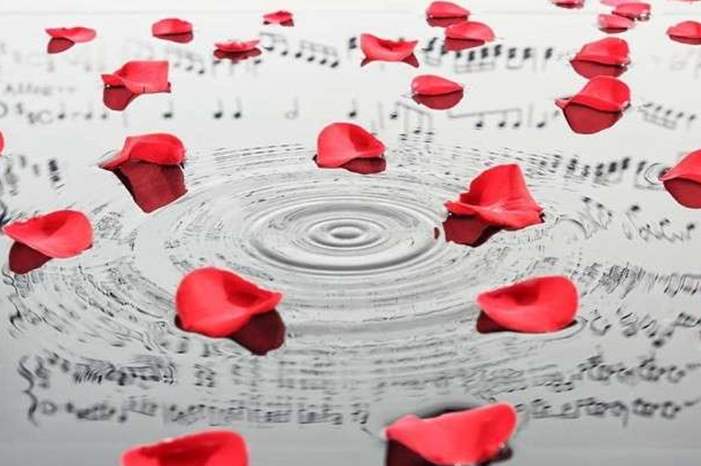 5bcdbb9ed4375034698b4570