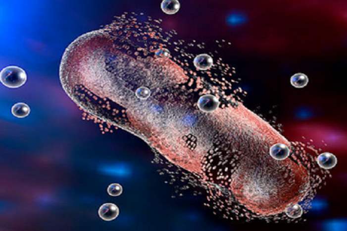 5bcd8f8795a597954f8b4585