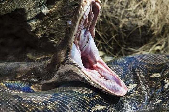 5bcdd1c495a5972c4f8b461d