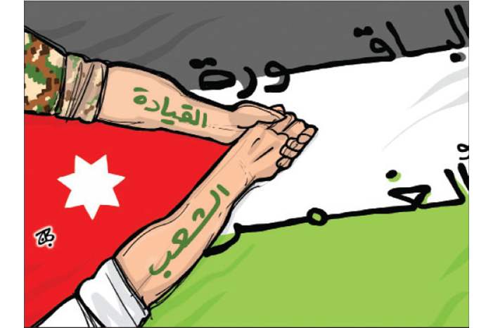 الباقورة والغمر