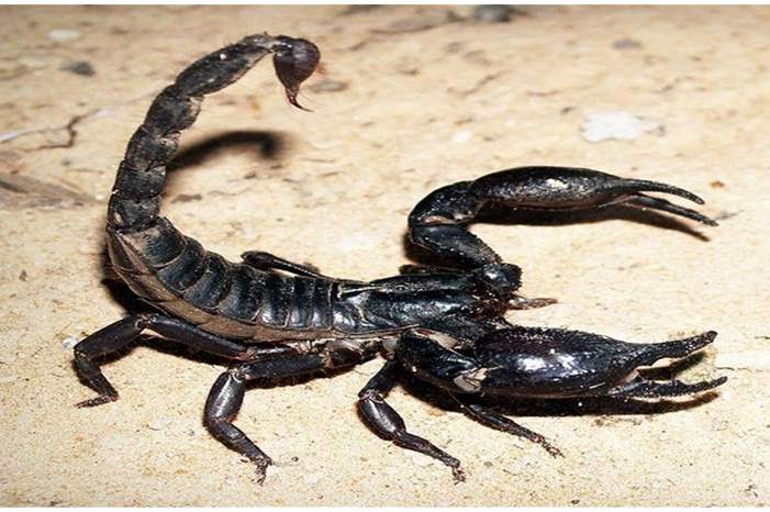 News-P-406767-636758177629022432