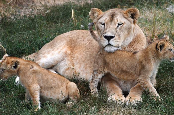 5bcefd6f95a597cd388b45ce