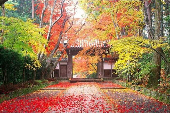 News-P-406962-636759030749204211