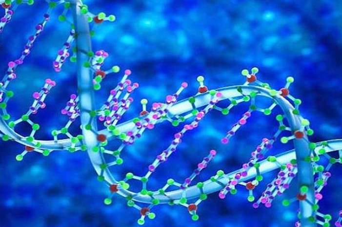 5bcf438d95a59769618b4575