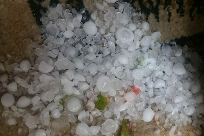 44767759_1877139522394908_1903533968058220544_o