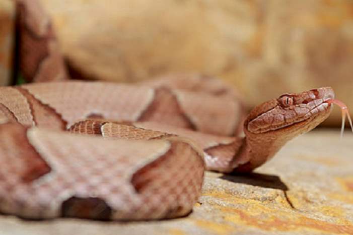 5bd028dc95a597ad638b45fe