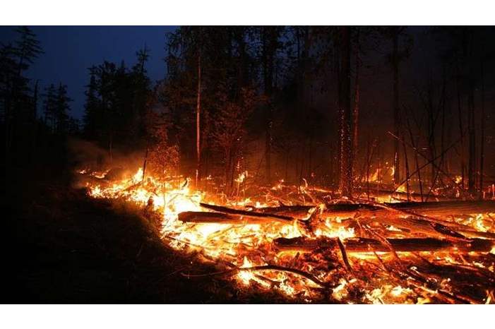 5bd07c20d4375092338b4580