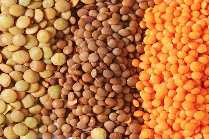 5bcef730d4375055088b461d