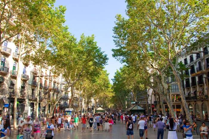 1461574636_shutterstock_140549128