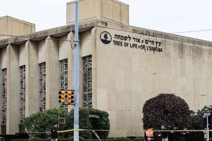 5bd53484d437501d698b45b7