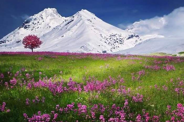 5bd30c8e95a597f50d8b45c8