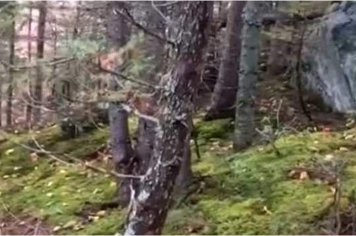 News-P-407923-636763342470936953