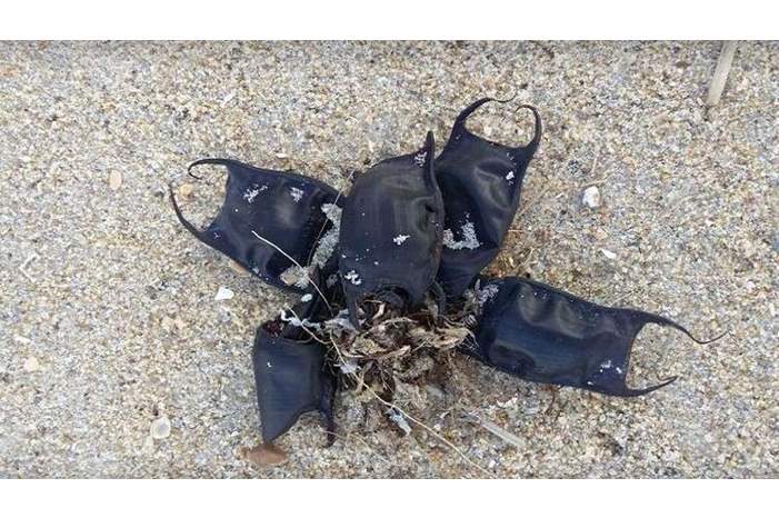 5bd6d02bd43750db758b45ae