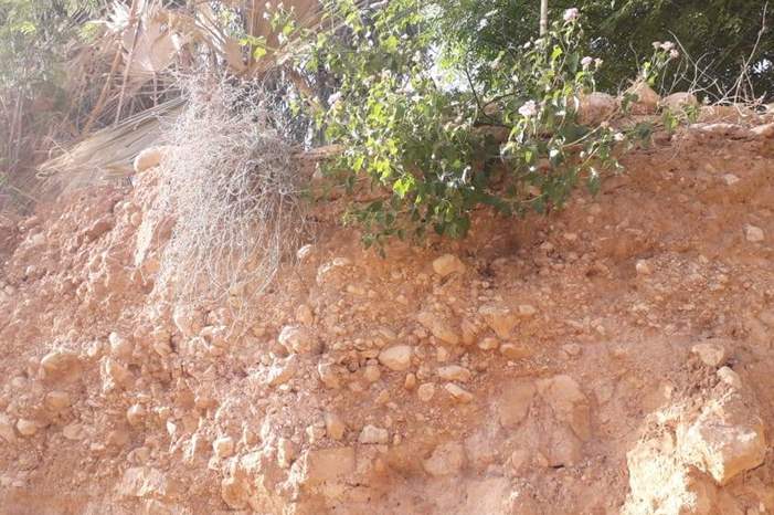 45020435_1979039205515400_7620523841516732416_o