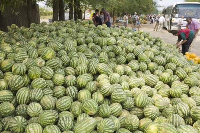 5bd71fa895a5976c638b456f