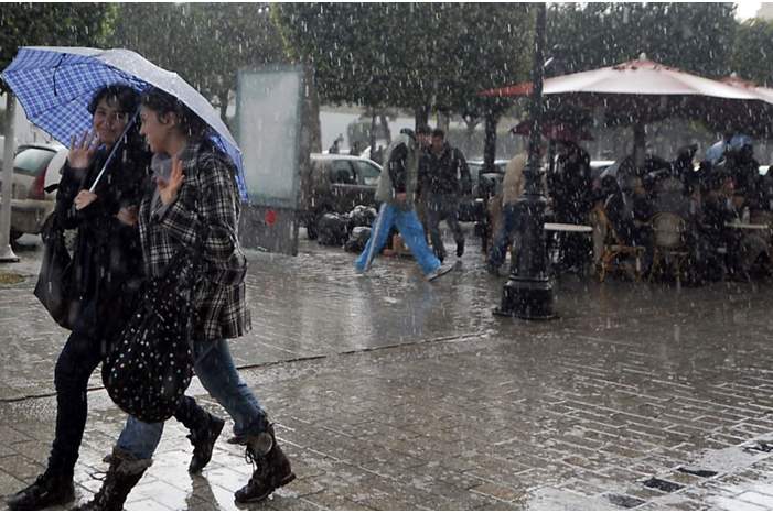 AECF319C-637B-4A3F-B3A5-5634823F2021_cx0_cy5_cw0_w1023_r1_s