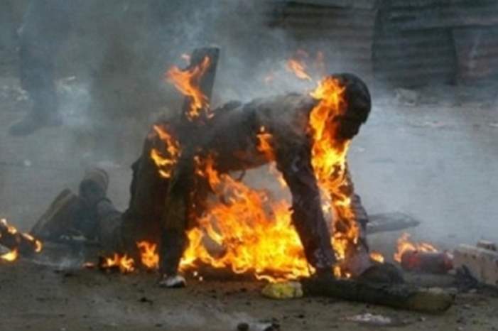 1020183161957454030054