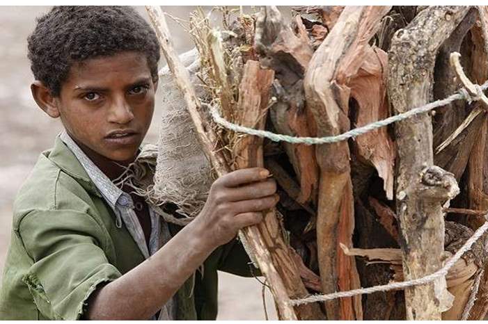 5bb21b7d95a59703778b45d9