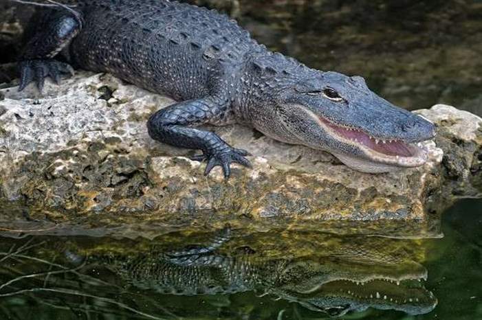 5bb4d785d43750fd2e8b463a