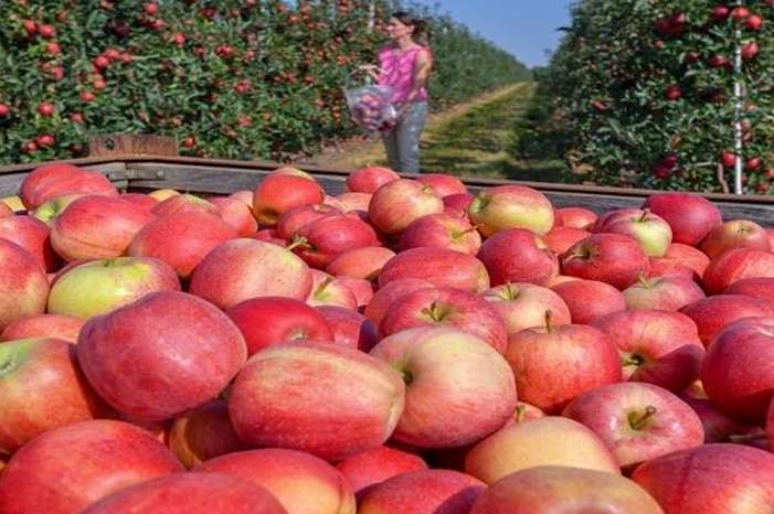 5bb5f153d437503f0b8b4589