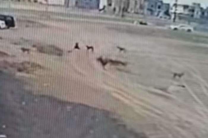 5bb8896895a597ba798b45a5